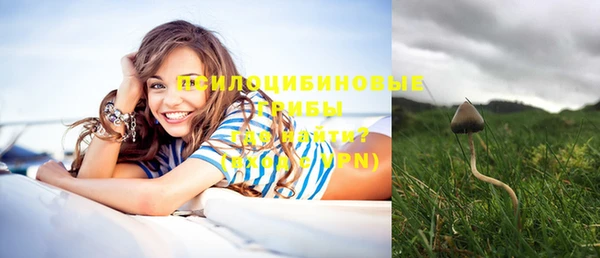 а пвп мука Михайлов