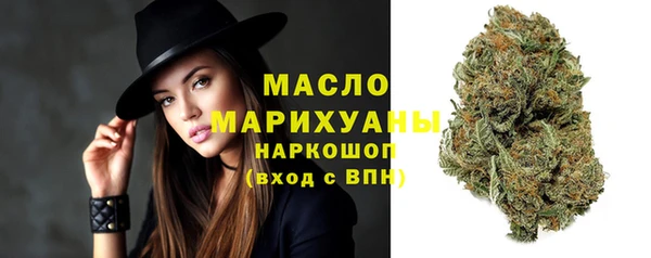 гидра Аша