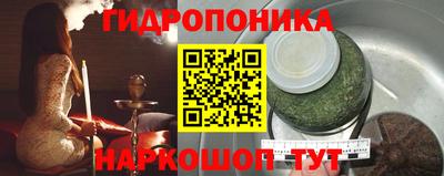 крисы Бузулук