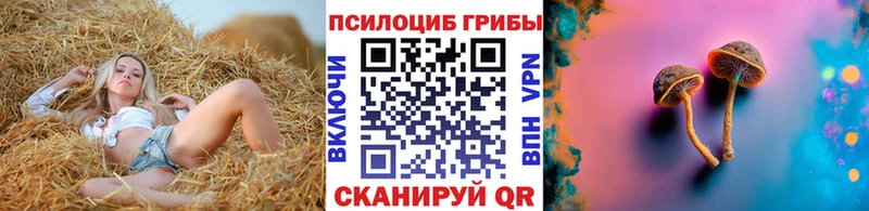 Псилоцибиновые грибы мицелий  Каменск-Шахтинский 