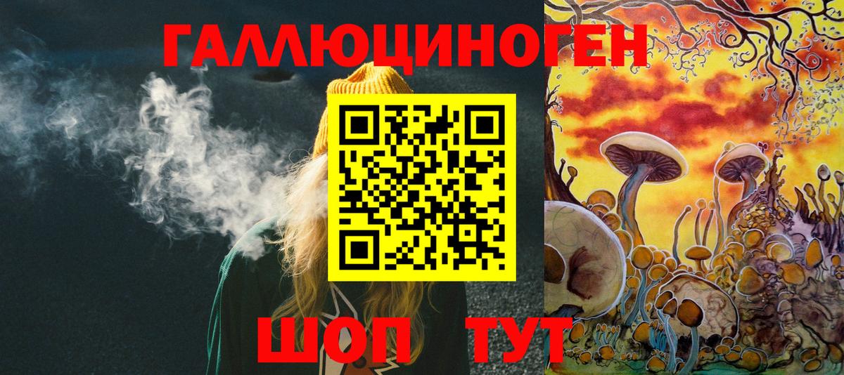 Галлюциногенные грибы GOLDEN TEACHER Каменск-Шахтинский
