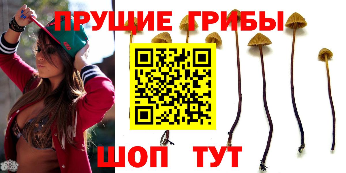 Каменск-Шахтинский  Псилоцибиновые грибы Psilocybine cubensis  наркота  Вход с VPN 